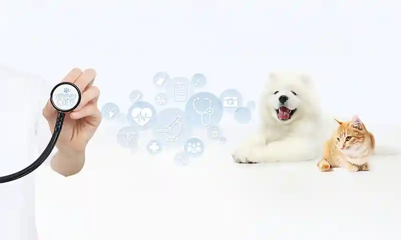 We offer Wellness Plans Loyalty Rewards Veterans/First Responders Rewards