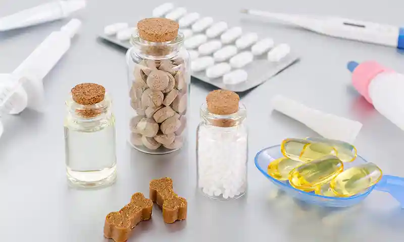 American Animal Hospital Accredited Since 2015