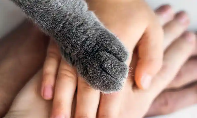 Proud Member and Supporter Of Our Community