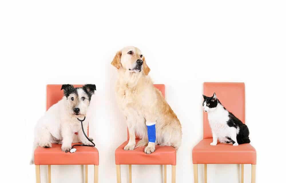 Medical and Surgical Care Medical and Surgical Care