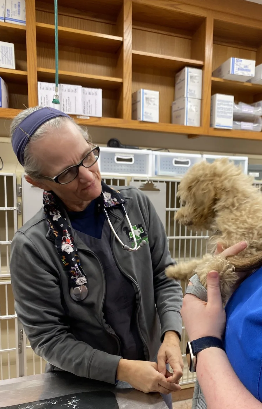 Dr. Wendy Green examining a puppy at FM 1488 Animal Medical Center