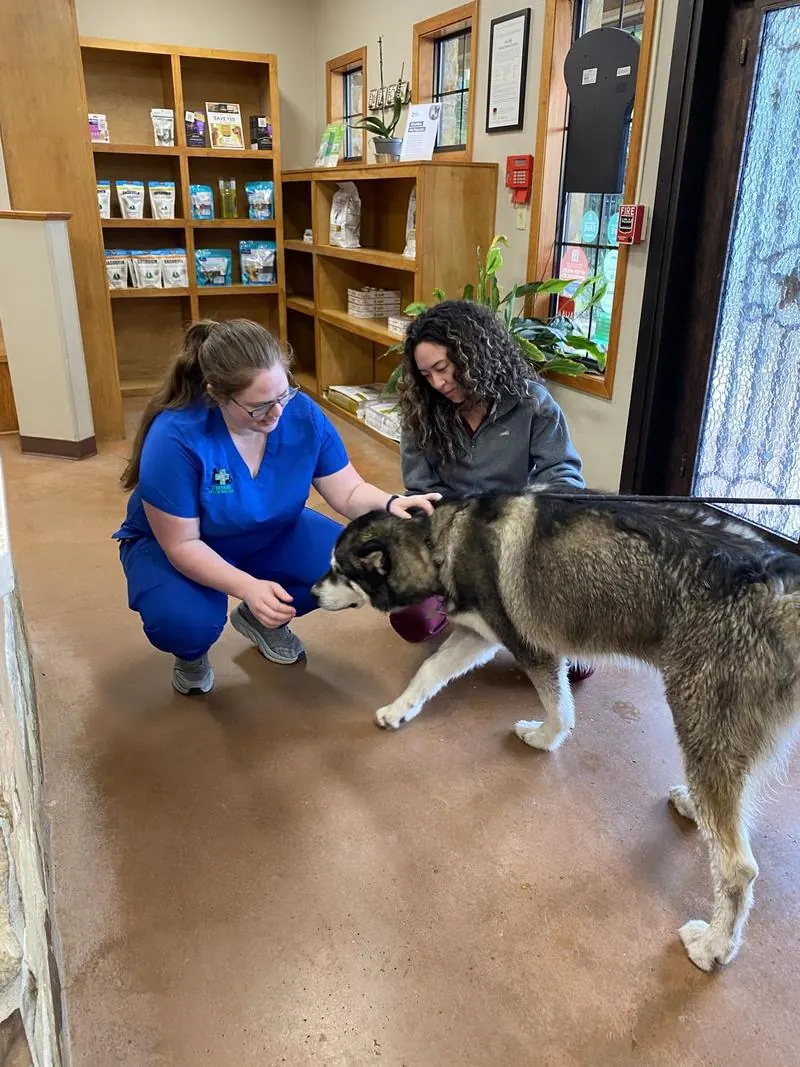 Team members greeting a husky in the FM 1488 lobby